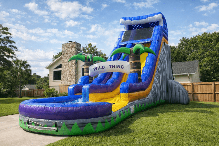 Water Slide Water Slide