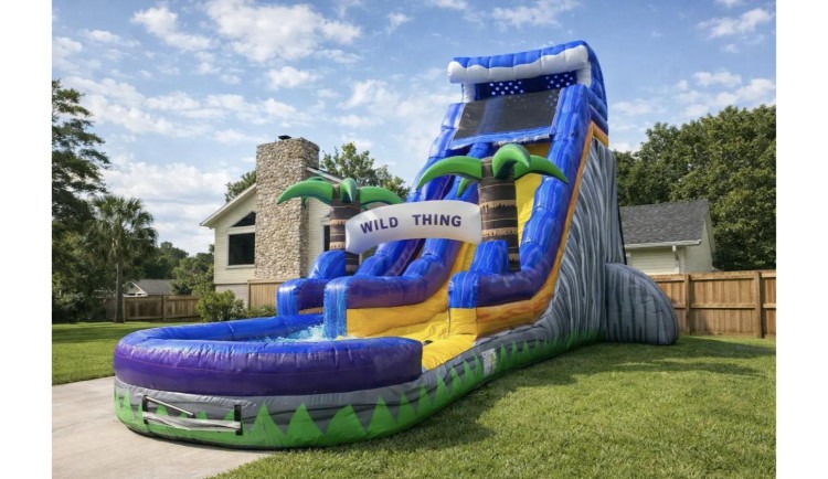 Wild Thing Inflatable Water Slide